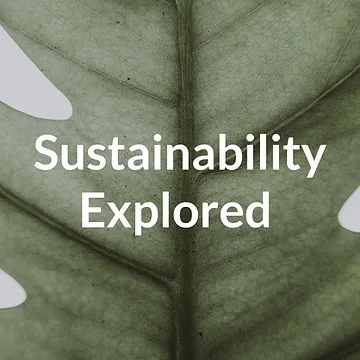 What is a sustainable business model?